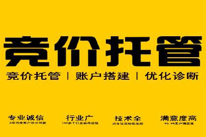 精准投放，高效转化——sem竞价账户运营全记录